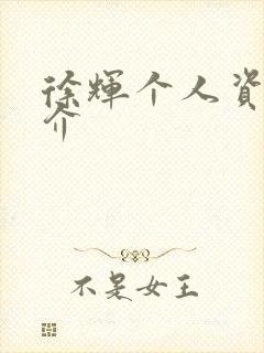 徐辉个人资料简介