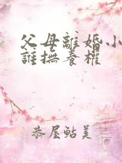 父母离婚小孩归谁抚养权