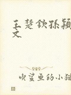 王楚钦孙颖莎甜文