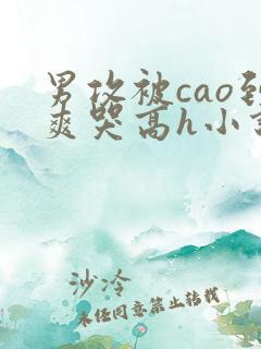 男攻被cao到爽哭高h小说