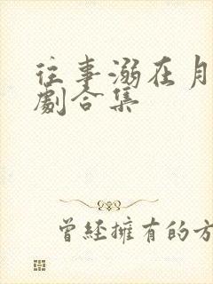 往事溺在月光短剧合集