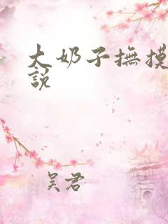 大奶子抚摸的小说