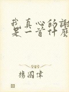 我真心的谢谢你是一首什么歌?