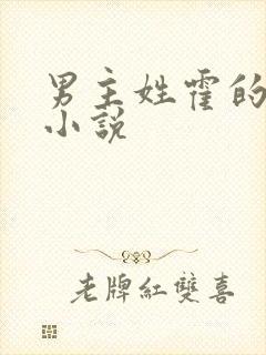 男主姓霍的全部小说