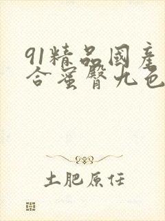 91精品国产综合蜜臀九色