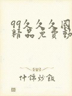 99久久久国产精品免费动