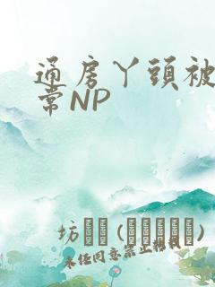 通房丫头被肉日常NP