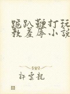 跪趴鞭打玩弄调教羞辱小说