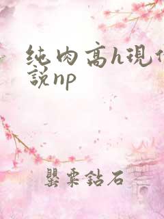 纯肉高h现代小说np