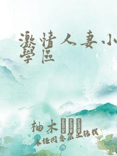 激情人妻小说文学区