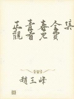 正青春全集在线观看免费