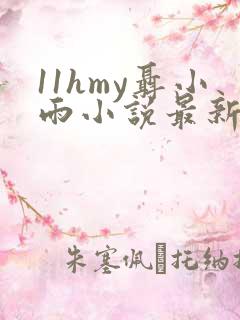 11hmy聂小雨小说最新章节更新时间