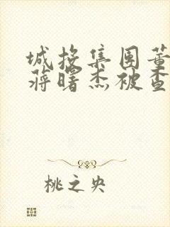 城投集团董事长蒋曙杰被查