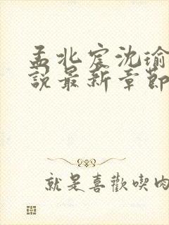 孟北宸沈瑜霜小说最新章节更新内容