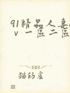 91精品人妻aⅴ一区二区