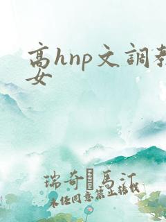 高hnp文调教女