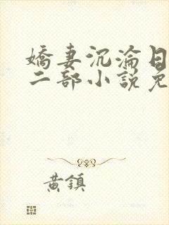 娇妻沉沦日记第二部小说免费阅读