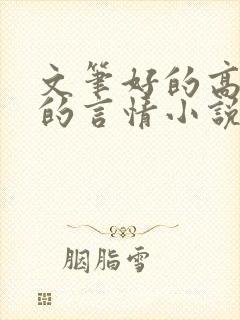 文笔好的高质量的言情小说