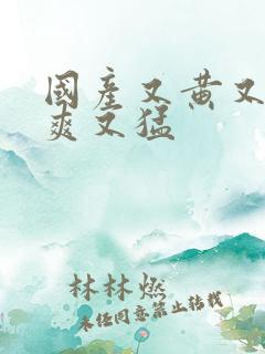 国产又黄又粗又爽又猛