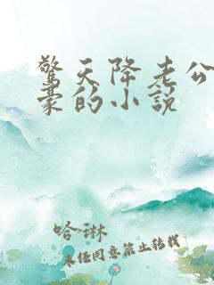 惊天降老公是富豪的小说