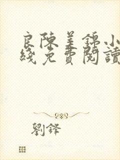 良陈美锦小说在线免费阅读