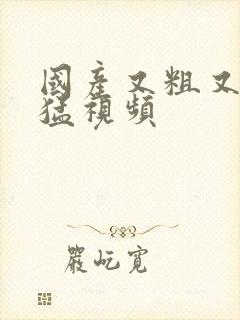 国产又粗又长又猛视频