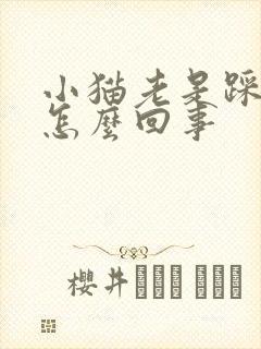 小猫老是踩奶是怎么回事