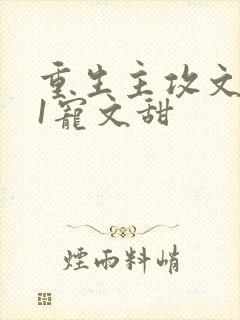 重生主攻文1v1宠文甜