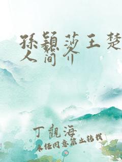 孙颖莎王楚钦个人简介