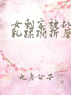 女刺客被扒开双乳蹂躏折磨的小说