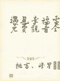 遇见幸福电视剧免费观看全集剧情