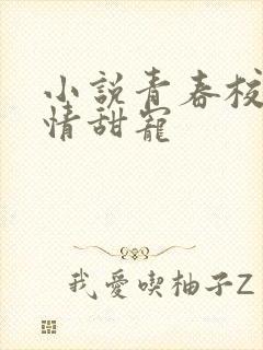 小说青春校园言情甜宠