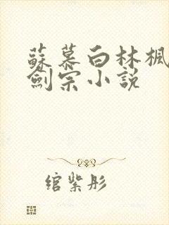 苏慕白林枫神霄剑宗小说