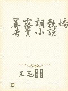 暴露调教娇妻出去卖小说