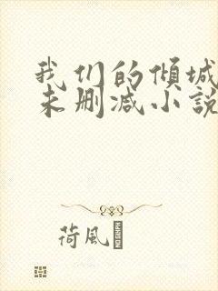 我们的倾城时光未删减小说