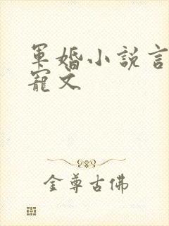 军婚小说言情甜宠文