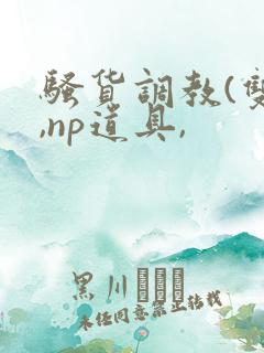 骚货调教(双性,np道具,