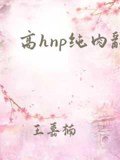 高hnp纯肉乱