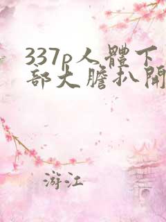 337p人体下部大胆扒开