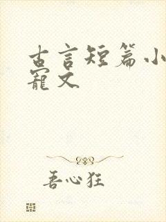 古言短篇小说甜宠文