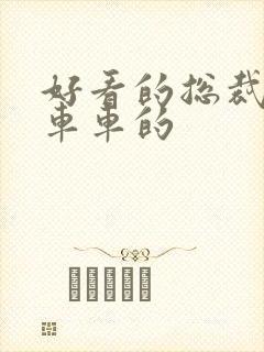 好看的总裁文有车车的