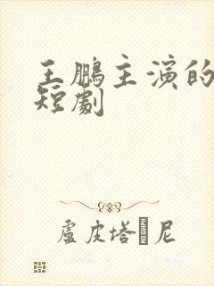 王鹏主演的所有短剧