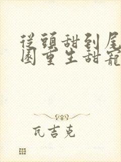 从头甜到尾的校园重生甜宠文