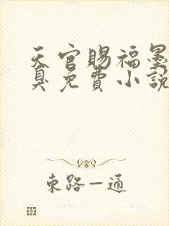 天官赐福墨香铜臭免费小说