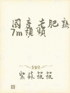 国产老肥熟妇女7m视频