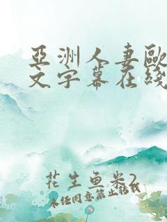 亚洲人妻欧美中文字幕在线