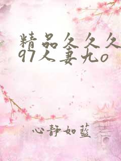 精品久久久久久97人妻九o