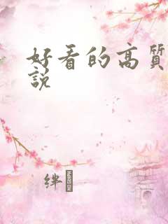 好看的高质量小说