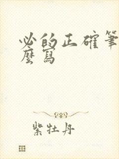 必的正确笔顺怎么写