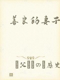 善良的妻子9